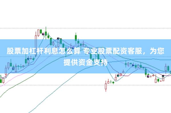 股票加杠杆利息怎么算 专业股票配资客服，为您提供资金支持