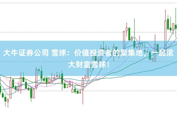 大牛证券公司 雪球：价值投资者的聚集地，一起滚大财富雪球！