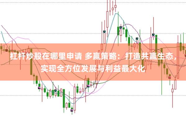 杠杆炒股在哪里申请 多赢策略：打造共赢生态，实现全方位发展与利益最大化