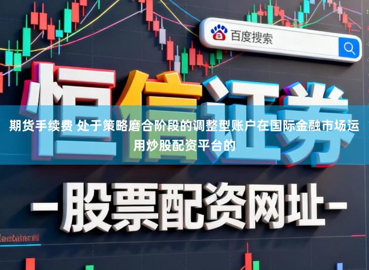 期货手续费 处于策略磨合阶段的调整型账户在国际金融市场运用炒股配资平台的