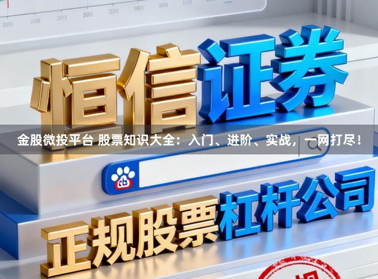金股微投平台 股票知识大全：入门、进阶、实战，一网打尽！